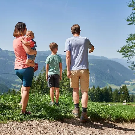 Alpe Guest house 3*